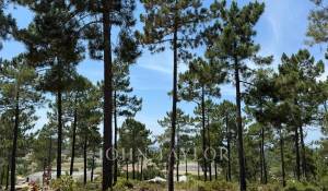 Prodej Pozemek Carvalhal