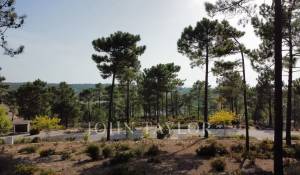 Prodej Pozemek Carvalhal