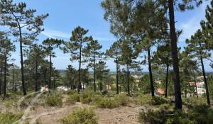 Prodej Pozemek Carvalhal