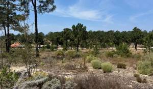 Prodej Pozemek Carvalhal