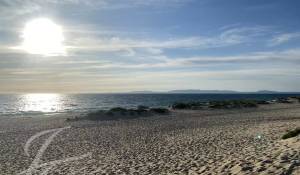 Prodej Pozemek Carvalhal