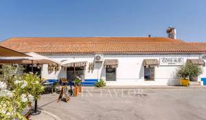 Prodej Pozemek Carvalhal