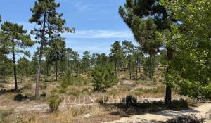 Prodej Pozemek Carvalhal