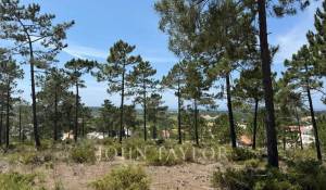 Prodej Pozemek Carvalhal