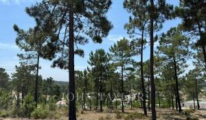 Prodej Pozemek Carvalhal