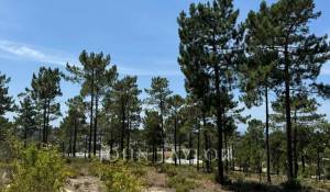 Prodej Pozemek Carvalhal