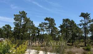 Prodej Pozemek Carvalhal