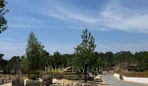 Prodej Pozemek Carvalhal