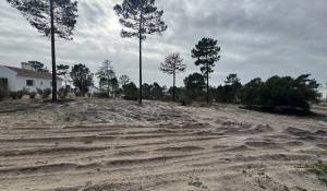 Prodej Pozemek Carvalhal