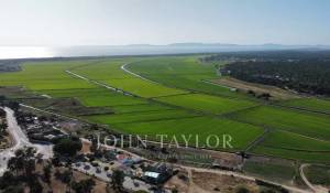 Prodej Pozemek Carvalhal