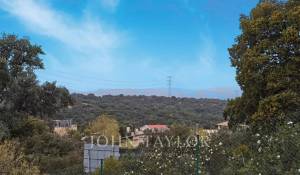 Prodej Pozemek Ciudalcampo