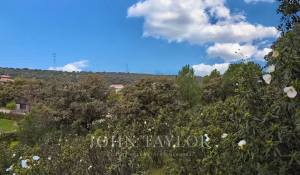 Prodej Pozemek Ciudalcampo