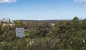 Prodej Pozemek Ciudalcampo