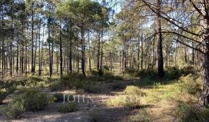 Prodej Pozemek Comporta