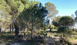 Prodej Pozemek Comporta