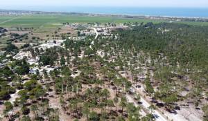 Prodej Pozemek Comporta