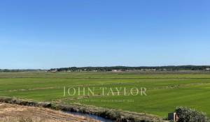 Prodej Pozemek Comporta