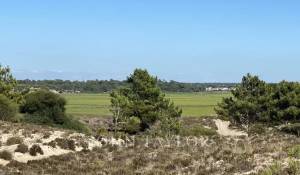 Prodej Pozemek Comporta