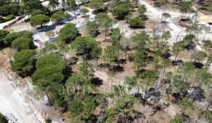 Prodej Pozemek Comporta