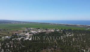 Prodej Pozemek Comporta