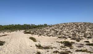 Prodej Pozemek Comporta