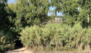 Prodej Pozemek Comporta