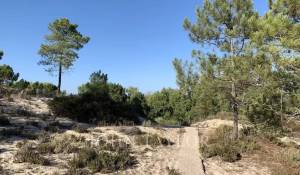 Prodej Pozemek Comporta