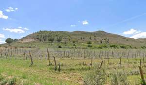 Prodej Pozemek Cuenca