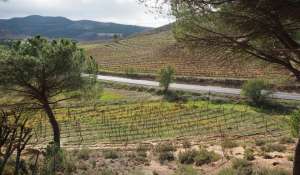 Prodej Pozemek Cuenca