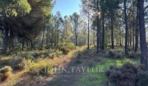 Prodej Pozemek Grândola e Santa Margarida da Serra