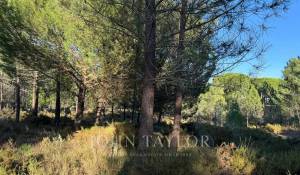 Prodej Pozemek Grândola e Santa Margarida da Serra