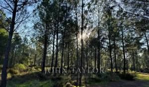 Prodej Pozemek Grândola e Santa Margarida da Serra