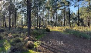 Prodej Pozemek Grândola e Santa Margarida da Serra