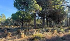 Prodej Pozemek Grândola e Santa Margarida da Serra