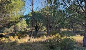 Prodej Pozemek Grândola e Santa Margarida da Serra