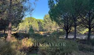 Prodej Pozemek Grândola e Santa Margarida da Serra