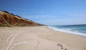 Prodej Pozemek Grândola e Santa Margarida da Serra