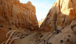 Prodej Pozemek Grândola e Santa Margarida da Serra