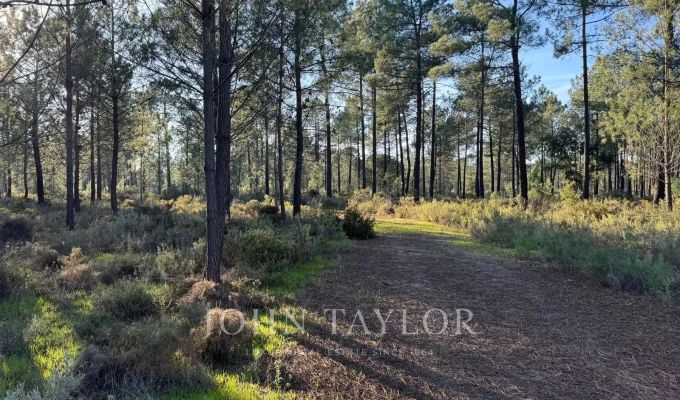 Prodej Pozemek Grândola e Santa Margarida da Serra