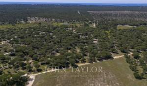 Prodej Pozemek Melides