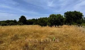 Prodej Pozemek Melides