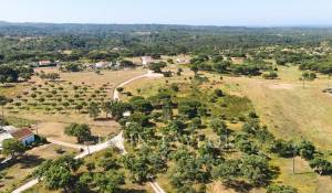 Prodej Pozemek Melides