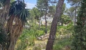 Prodej Pozemek Peguera