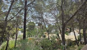 Prodej Pozemek Peguera