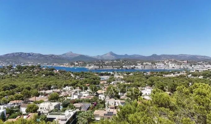 Prodej Pozemek Santa Ponsa