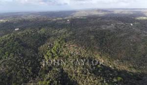 Prodej Pozemek São Francisco da Serra