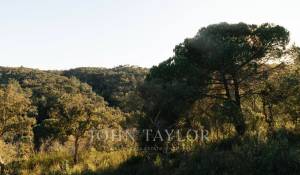 Prodej Pozemek São Francisco da Serra