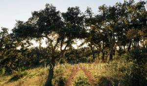 Prodej Pozemek São Francisco da Serra