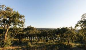 Prodej Pozemek São Francisco da Serra
