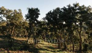 Prodej Pozemek São Francisco da Serra